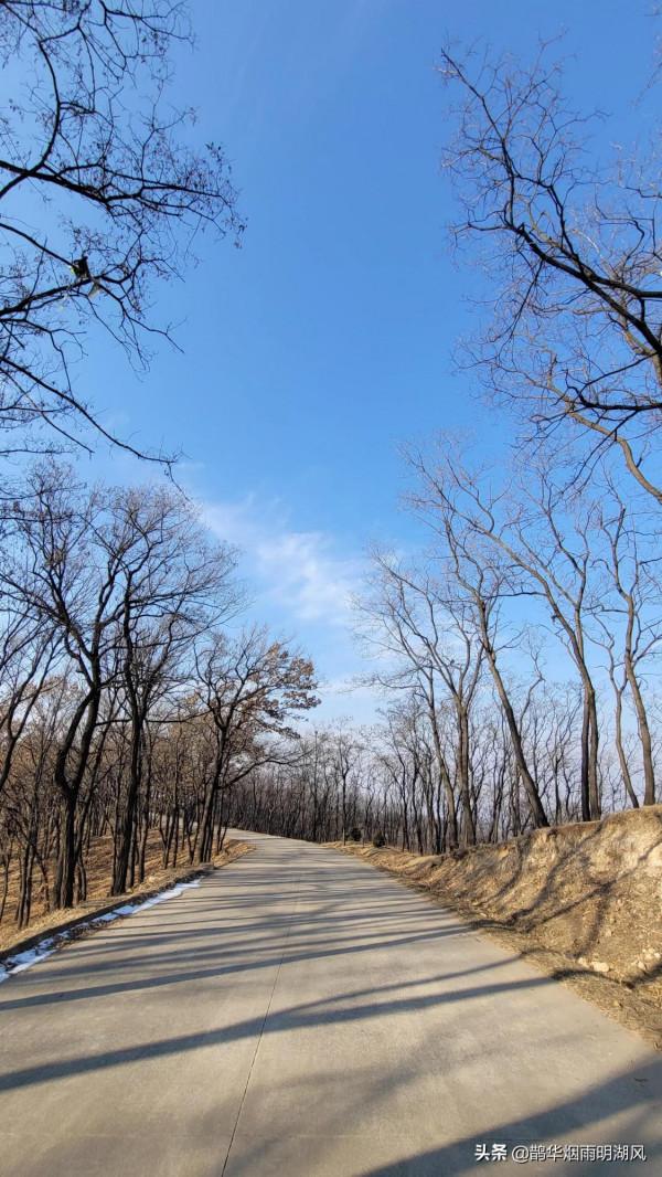 新年徒步，意外收穫，泰山雲海仙境