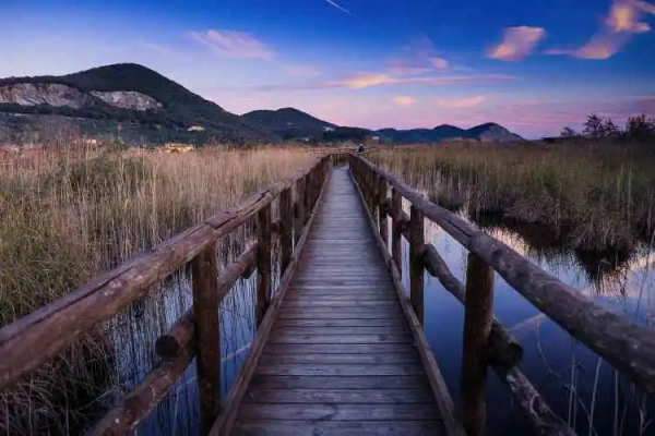 在你的記憶中是否有那麼一條小徑讓你難以忘懷？