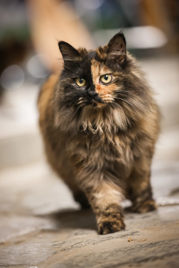 我像風一樣自由 我像風一樣自由