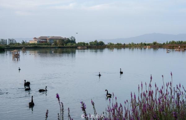 甘肅省適合養老的小城,物價低,不堵車,被稱為“塞上江南” 甘肅省適合養老的小城,物價低,不堵車,被稱為“塞上江南”