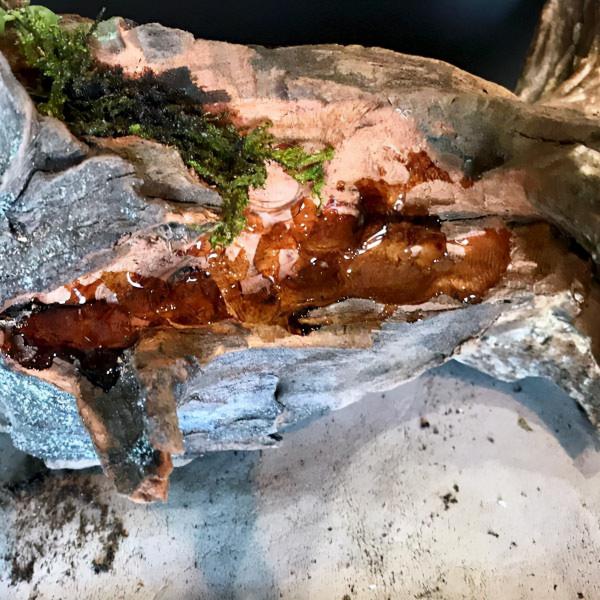 天然的木頭，呆萌的多肉，不一樣的美