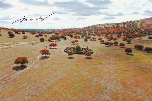 內蒙古興安盟“五角楓自然保護區”,秋景絕美,遊客:名不虛傳 內蒙古興安盟“五角楓自然保護區”,秋景絕美,遊客:名不虛傳