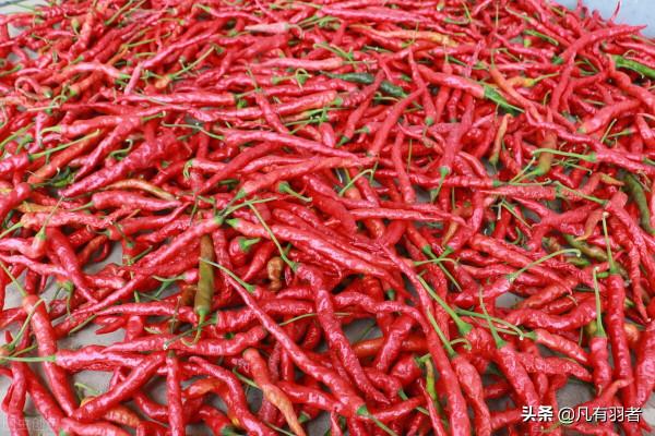 趁老伴外出摘辣椒的空檔，他用一條麻繩結束了自己的生命