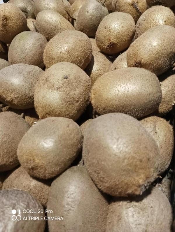 深度體驗cool 20pro拍照技術 深度體驗cool 20pro拍照技術