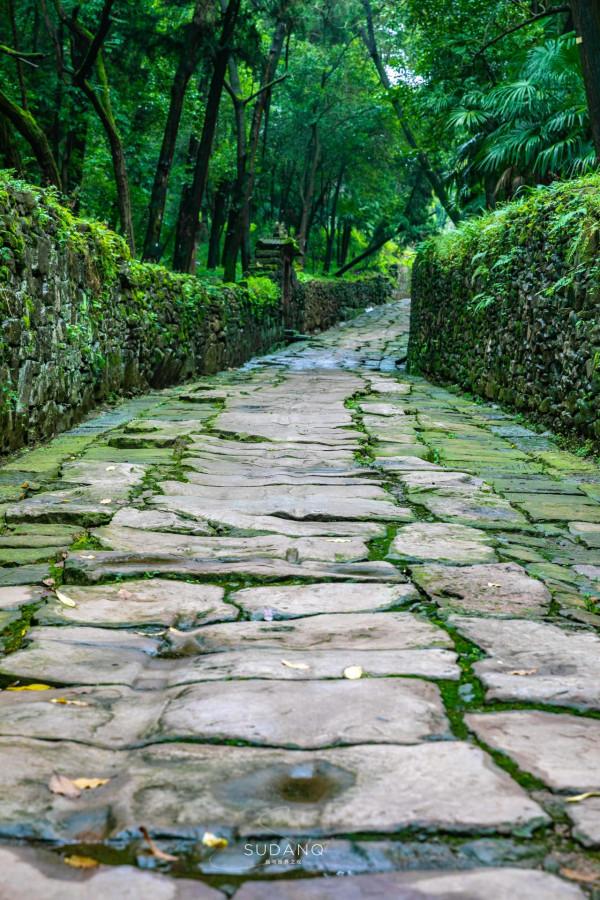 蜀道究竟有多難?人類最早的大型交通遺存之一,已有3000年的歷史 蜀道究竟有多難?人類最早的大型交通遺存之一,已有3000年的歷史