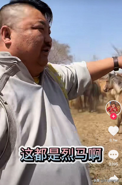 一把芹菜換一隻羊，網紅毛子哥與恩克的套路江湖