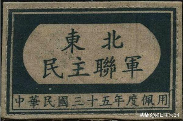 德惠戰役，在兵力與裝備都佔優的情況下，我軍為何未能取勝呢