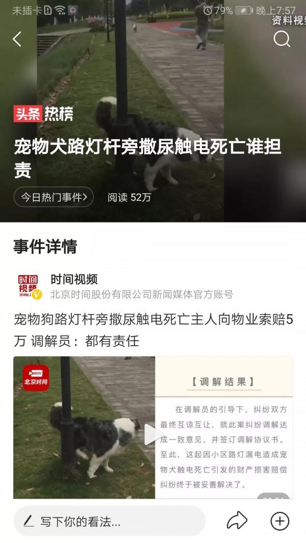 寵物犬發現安全隱患英勇獻身 物業公司理應賠償 數額可以熱議 寵物犬發現安全隱患英勇獻身 物業公司理應賠償 數額可以熱議