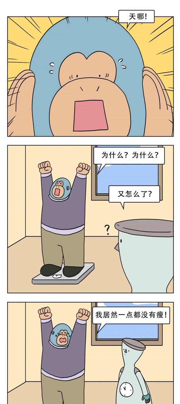 為什麼吃“減肥餐”反而胖了