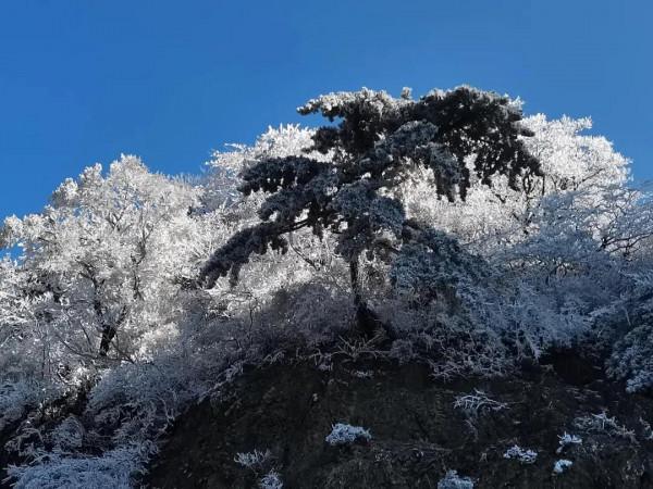 這裡的霧凇，驚豔了西河的冬日時光
