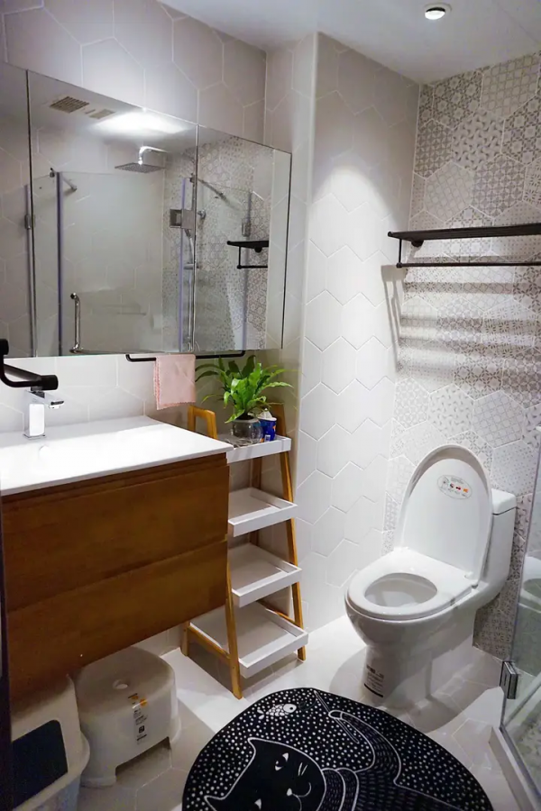 家裡有片雨林是什麼樣的體驗？帶你走進我的室內花園