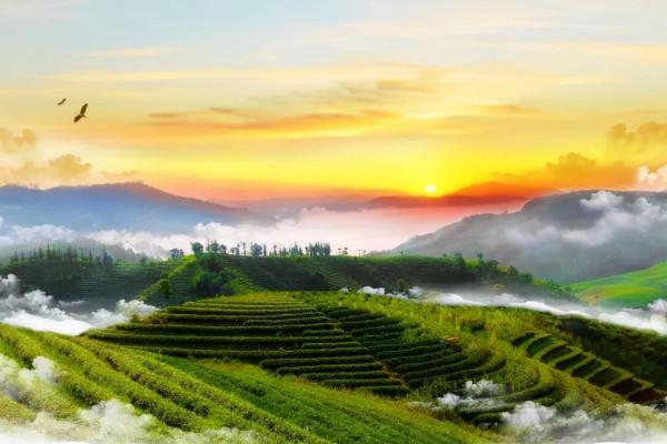 我國適合養老的4座城市,空氣好房價又低,你會選擇哪一個? 我國適合養老的4座城市,空氣好房價又低,你會選擇哪一個?