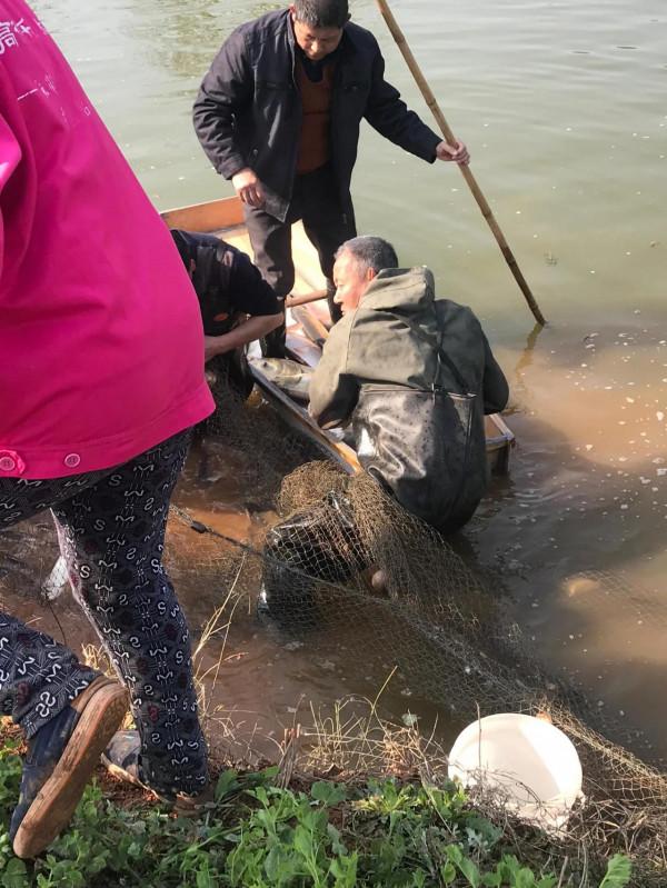 憶童年……(上) 憶童年……(上)