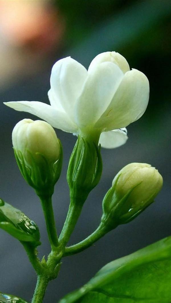 從指縫中，溜走的三天