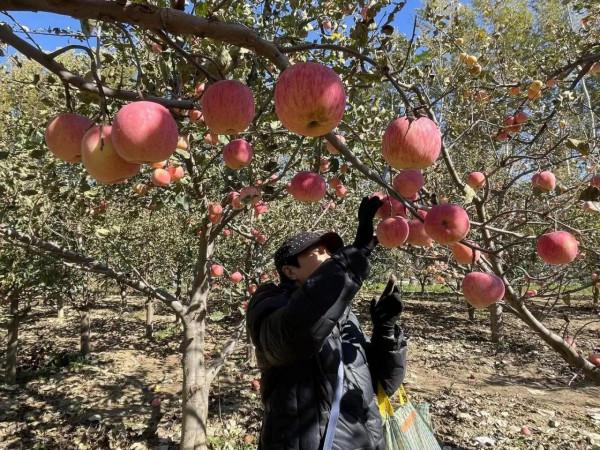 ##2021北京人最美的休閒度假區 臥牛山風景旅遊區##