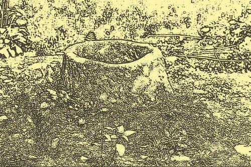 屠夫入凶宅，挖井