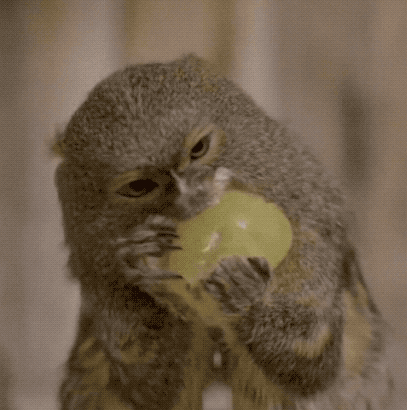 《動物世界千奇百怪》之一 《動物世界千奇百怪》之一