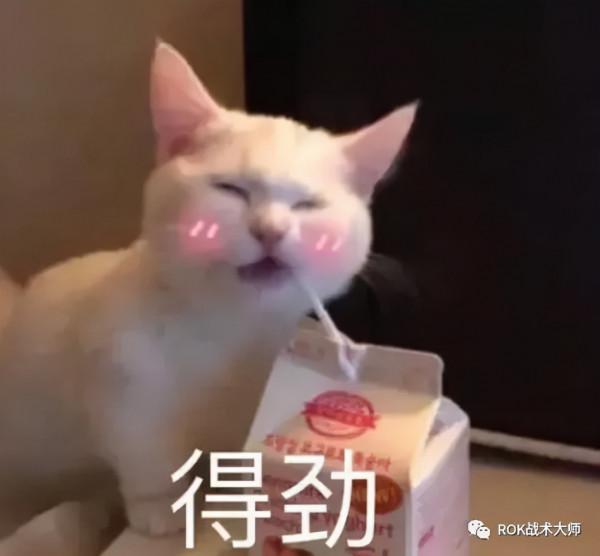 萬國覺醒丨威廉一世裝備推薦