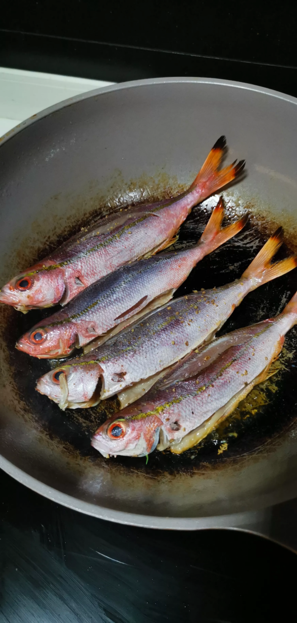 “雙線翼梅鯛”這名字叫得太文藝，不由想到“身無綵鳳雙飛翼…