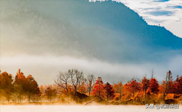 這幾個愈秋愈美的小眾旅行地，錯過只能再等一年