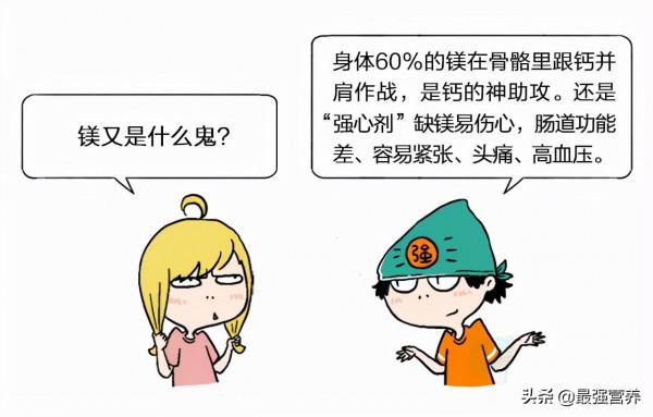 補鈣鐵鋅的10佳食物排行榜，吃什麼能食補看這篇就夠了