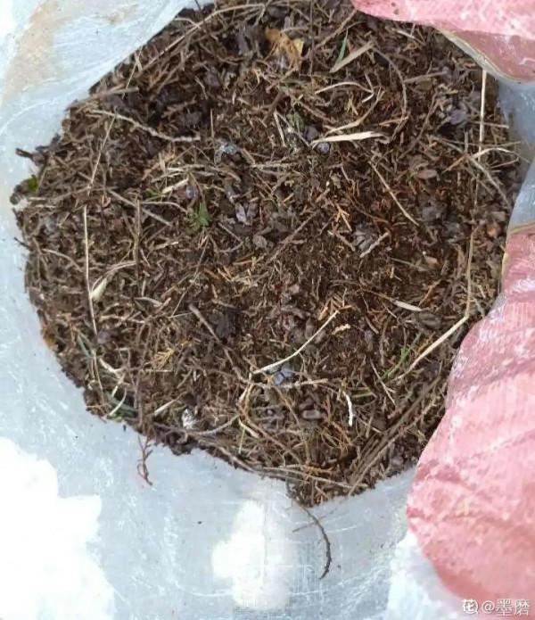 10種“垃圾”不要丟,拿來養花效果好,還能省下一筆錢 10種“垃圾”不要丟,拿來養花效果好,還能省下一筆錢