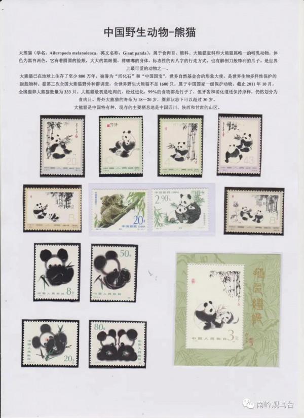 中國的生物多樣性&mdash;大熊貓
