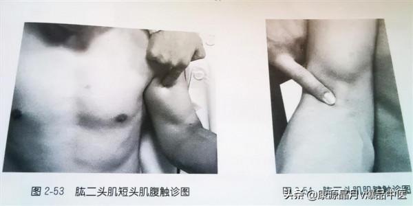 肩部疼痛的觸診圖解（很珍貴資料），值得一看
