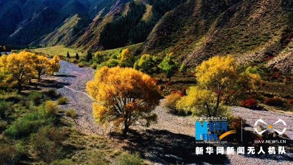 甘肅肅南:秋色絢麗如“調色盤” 甘肅肅南:秋色絢麗如“調色盤”