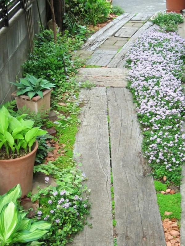花園鑲邊，增加植物層次，豐富花園景觀