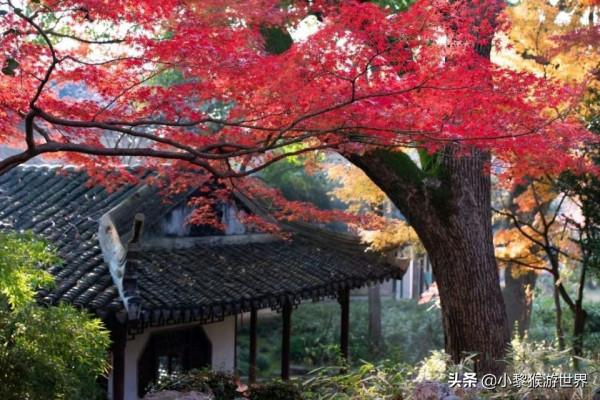 一個人去哪？國內超適合一個人去玩的地方