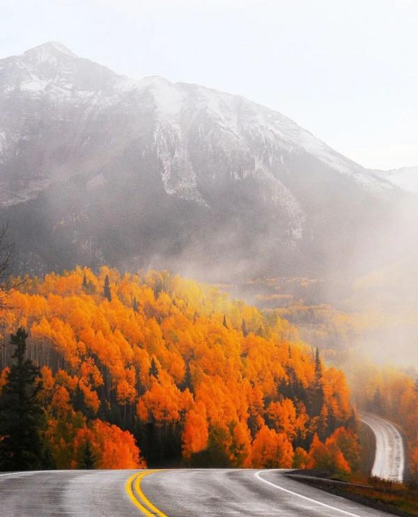 學習筆記(35)丨比成績更重要的是,孩子有主動做事的熱情和動力 學習筆記(35)丨比成績更重要的是,孩子有主動做事的熱情和動力