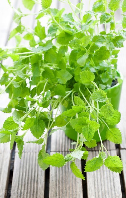 如何讓衛生間美觀大氣、舒適雅緻、空氣清新? 如何讓衛生間美觀大氣、舒適雅緻、空氣清新?