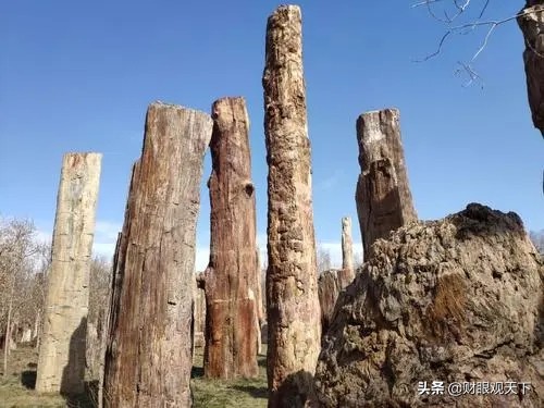 來新疆 我帶你撿石頭