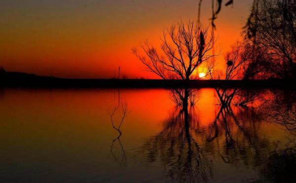 袁新錄｜人間仙境莊上許亭