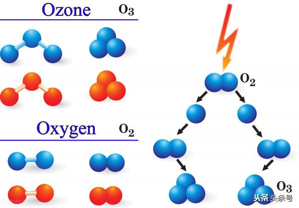 漲知識！十一個有趣的生活科學事實