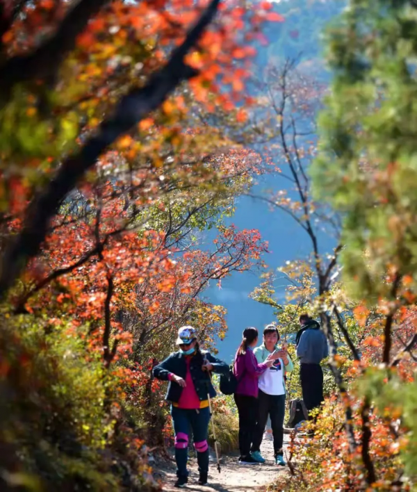 &OpenCurlyDoubleQuote;美日一景&CenterDot;井陘美&rdquo; &vert; 秋染霜林醉！