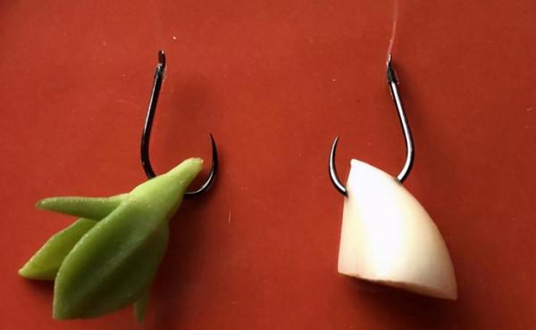 從蒼耳釣魚說起，盤點那些十釣九空的“神餌”，你上過當嗎？