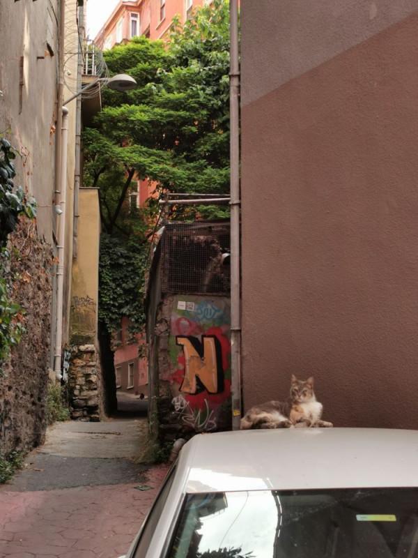 環遊土耳其&lpar;44&rpar;：食物中毒記