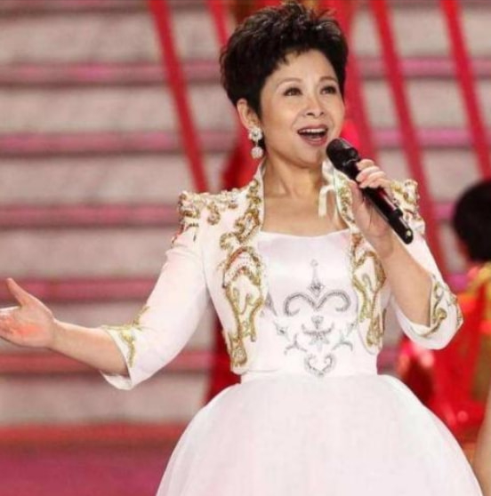 22歲嫁初戀，23歲爆火，38歲跌落神壇，董文華如今怎樣了？