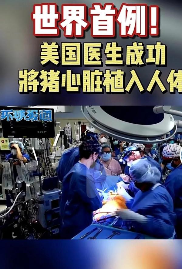世界首例！美國醫生成功將豬心臟植入人體