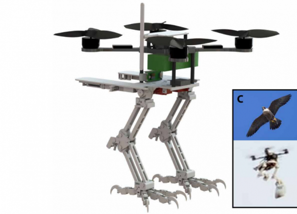 給無人機加爪子登《科學》子刊封面，斯坦福研發仿生鳥機器人