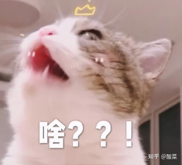 全面且權威的人類基因與遺傳表型概要的線上資料庫——OMIM資料庫