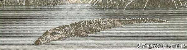 「新鈔」墨西哥獨立200週年紀念鈔，又是一張塑膠鈔，顏值還不錯