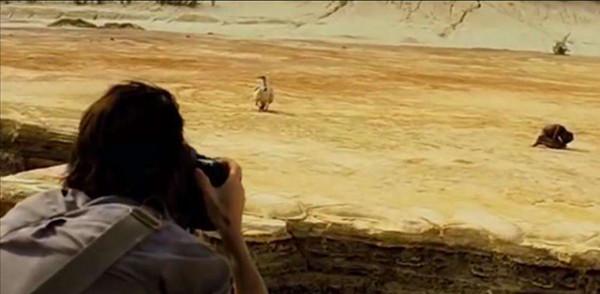 28年前，這張“禿鷲和小女孩”的照片聞名世界，小孩後來怎麼樣了