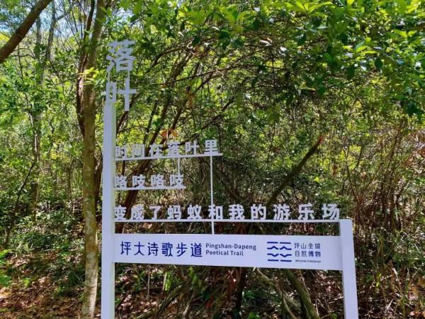 人間四月天，在坪山眼見皆美好