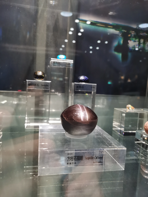 中國地質博物館展品