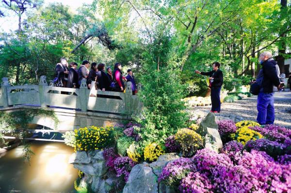 五彩斑斕！嘉定這裡美成這樣，還不快來