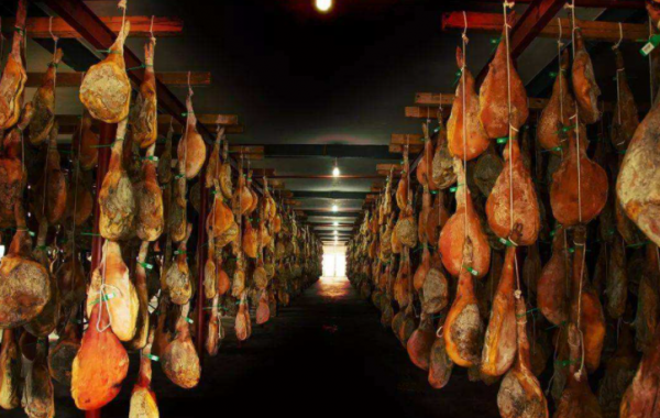 紅九軍團孤軍轉戰52天，上交數千大洋，周恩來：老九，你們發財了