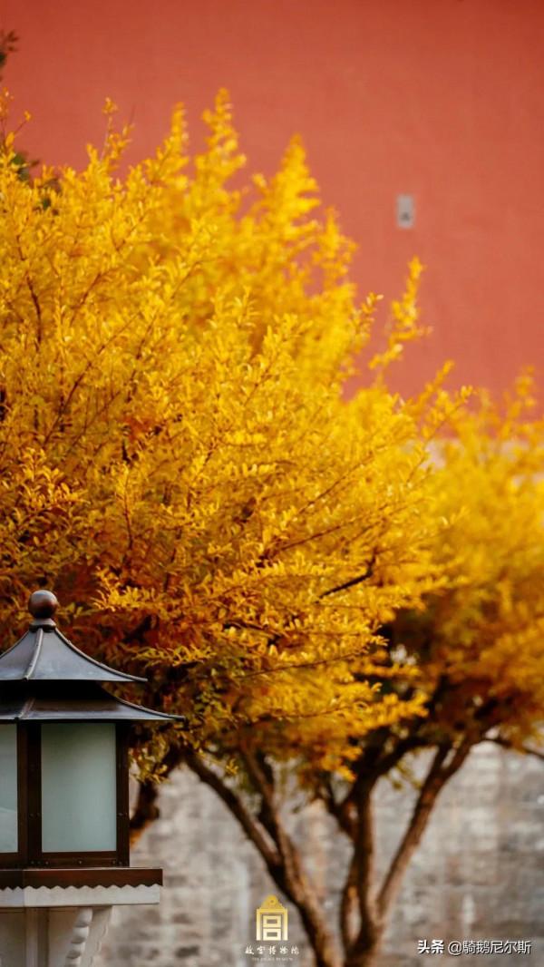 驚豔了時光，尋找故宮之美